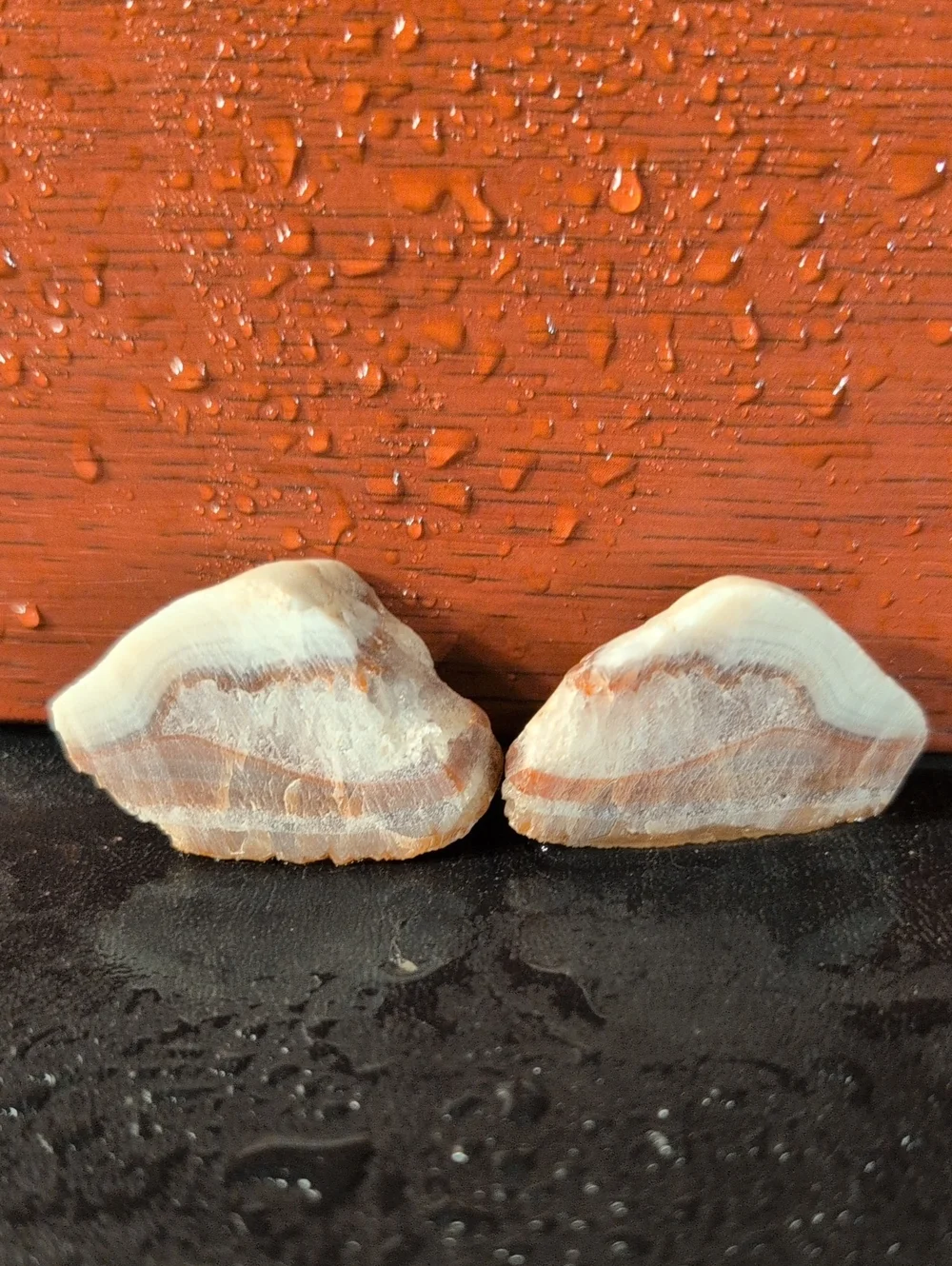 Agate #49
